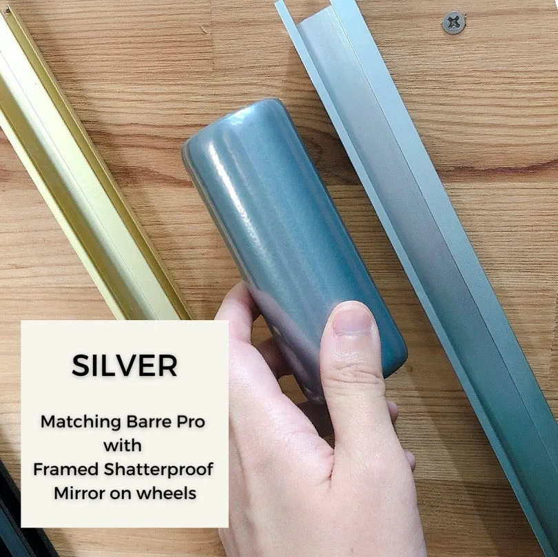 Shatterproof Framed Mirror on Wheels