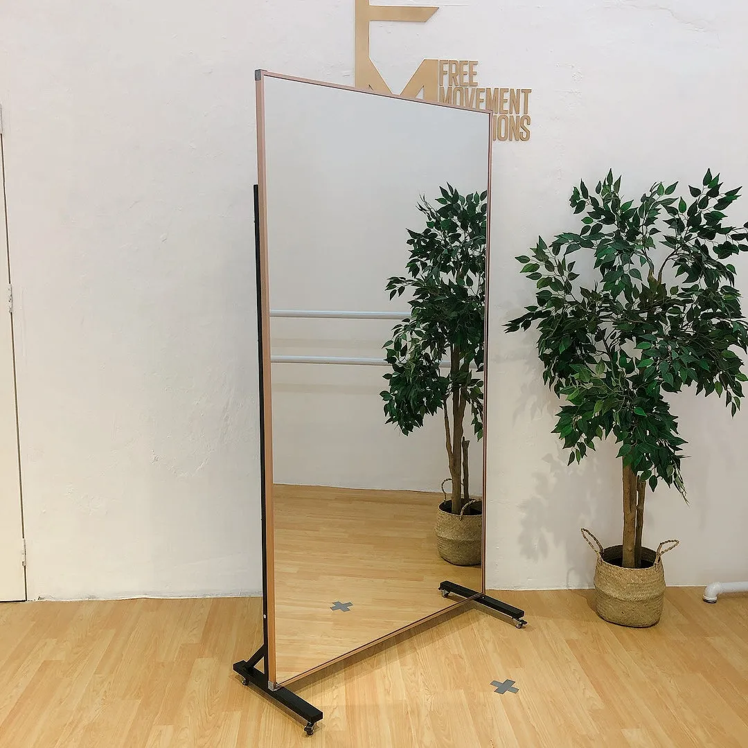 Shatterproof Framed Mirror on Wheels