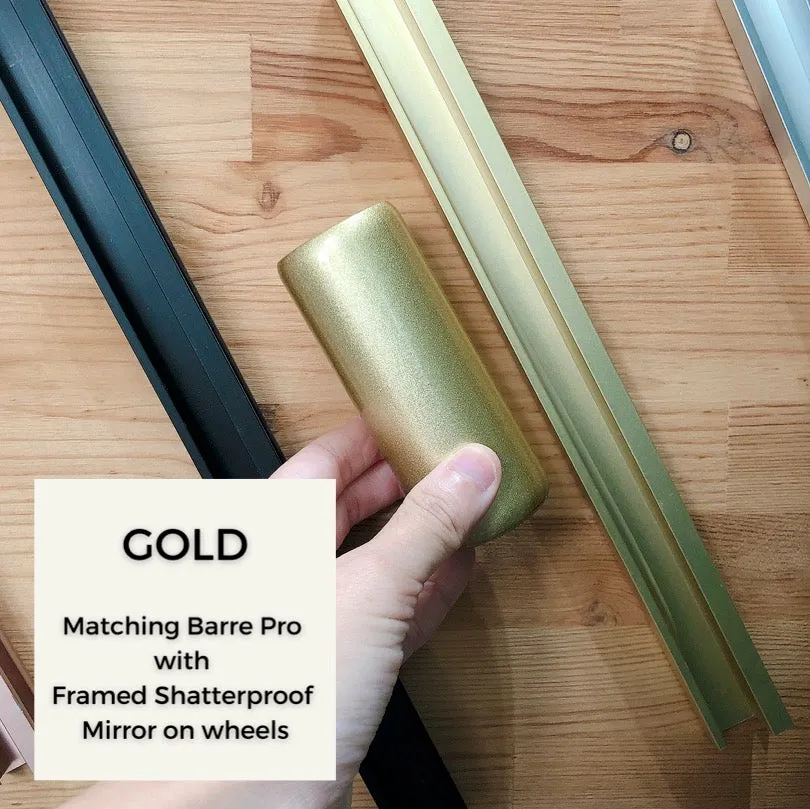 Shatterproof Framed Mirror on Wheels
